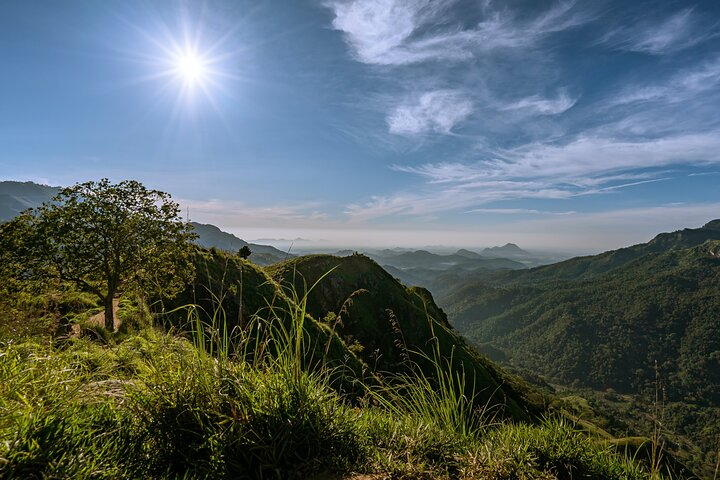 'Discover Ella'- Ella Rock, Little Adam's peak & Nine arch bridge - Photo 1 of 6